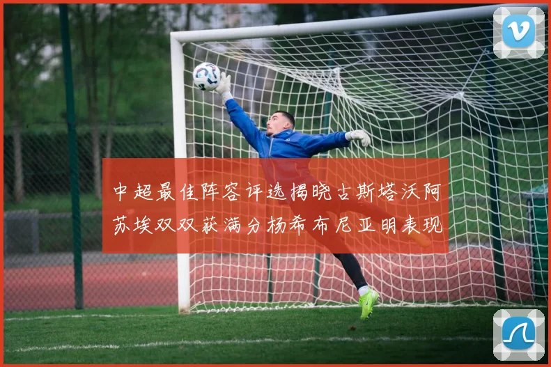 中超最佳阵容评选揭晓古斯塔沃阿苏埃双双获满分杨希布尼亚明表现出色