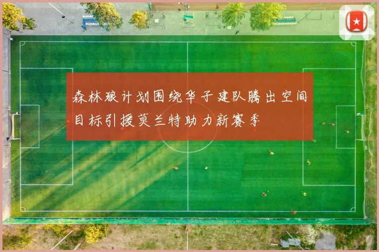森林狼计划围绕华子建队腾出空间目标引援莫兰特助力新赛季