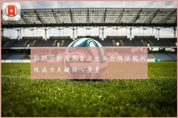 孙颖莎新周期备战全面升级体能训练成为关键核心要素